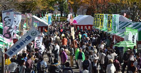 あきる野市 風俗|【2024/11/30最新】あきる野市の風俗ランキング（基準:マイショ…